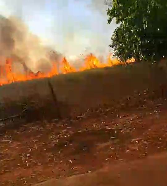 De acordo com as informações iniciais, as brigadas estão atuando no local para controlar o fogo (Foto/Reprodução)