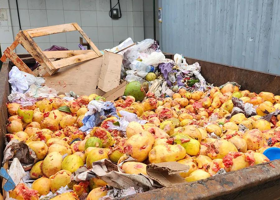 O modelo permite aproveitar integralmente frutas e hortaliças impróprias para o consumo humano, resultantes das perdas durante o transporte e armazenamento. (Foto/Reprodução)