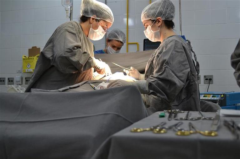 Ao todo, 694 atendimentos foram realizados no mutião do último sábado (13), no HC-UFTM (Foto/Divulgação HC-UFTM)