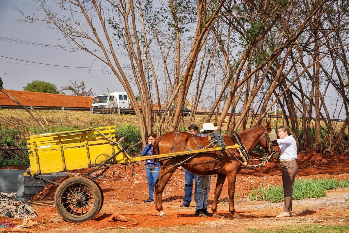 Até o momento, a Prefeitura de Uberaba não confirmou se será aplicada multa pela infração (Foto/Reprodução)