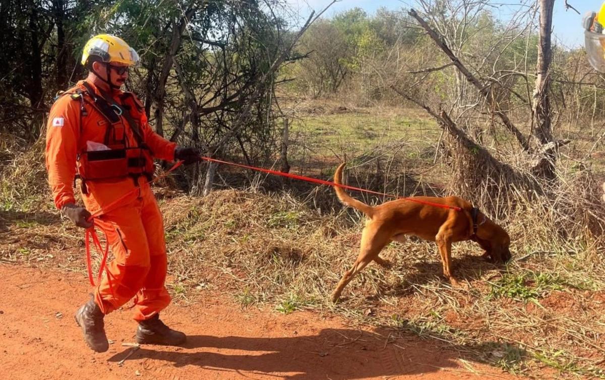 Desde o início das operações, o Corpo de Bombeiros utiliza drones com câmeras termais, além de equipes terrestres com cães para vasculhar a área (Foto/Divulgação)
