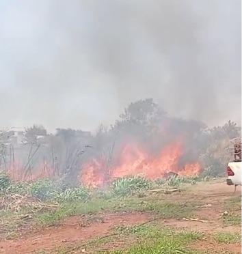 Incêndio em vegetação no bairro Dom Eduardo (Foto/Divulgação)