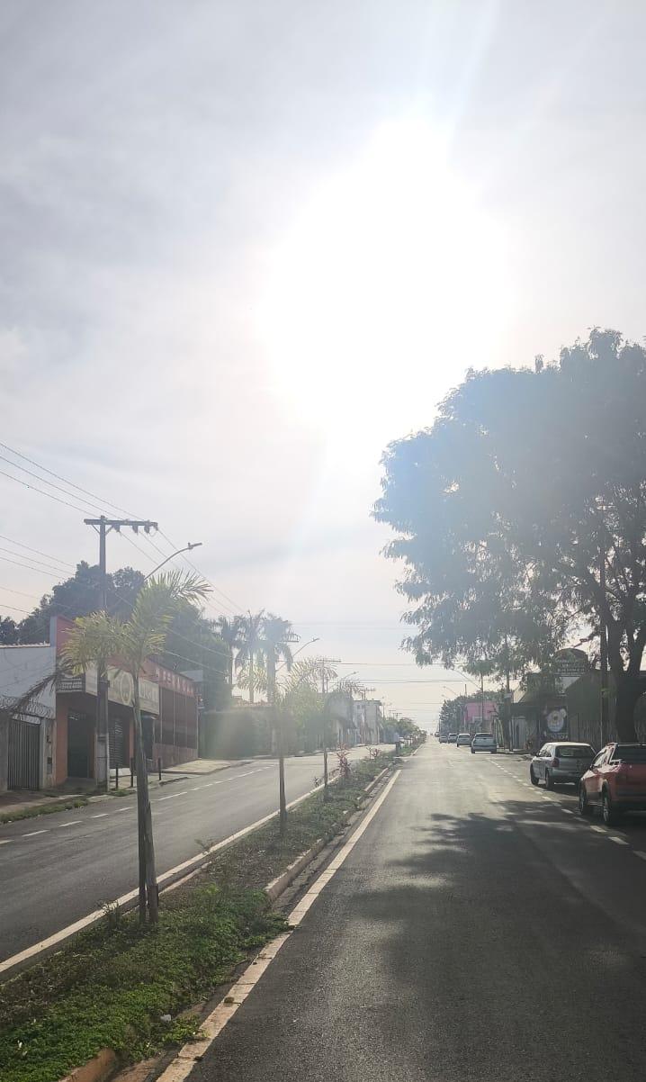 Após estudos técnicos, ligados ao Plano de Arborização, constatou-se que o problema da avenida Padre Eddie eram as árvores plantadas no local, devido ao grande porte das espécies arbóreas, incompatíveis com a via (Foto/Marcos Machado)