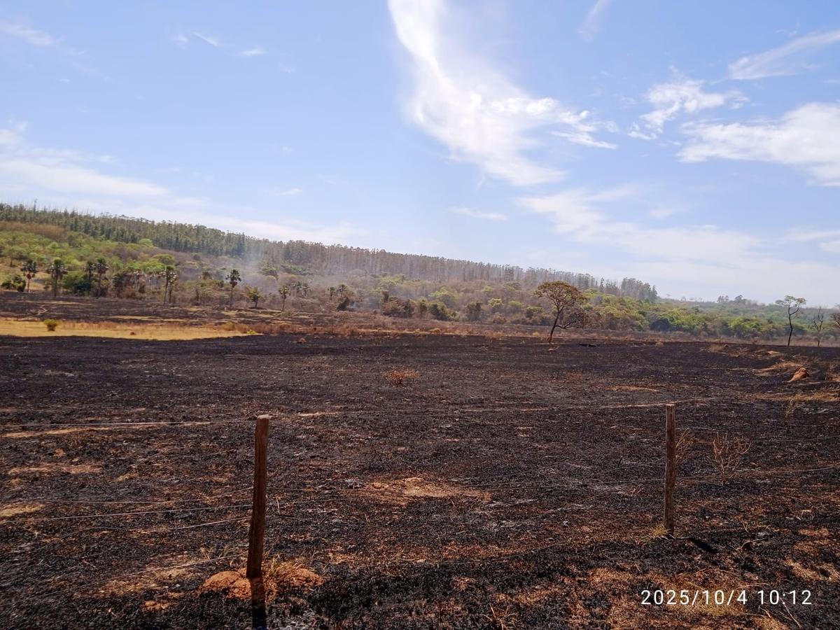 Fogo atingiu 0,33 hectares e foi combatido com apoio de empresas da região (Foto/Divulgação)
