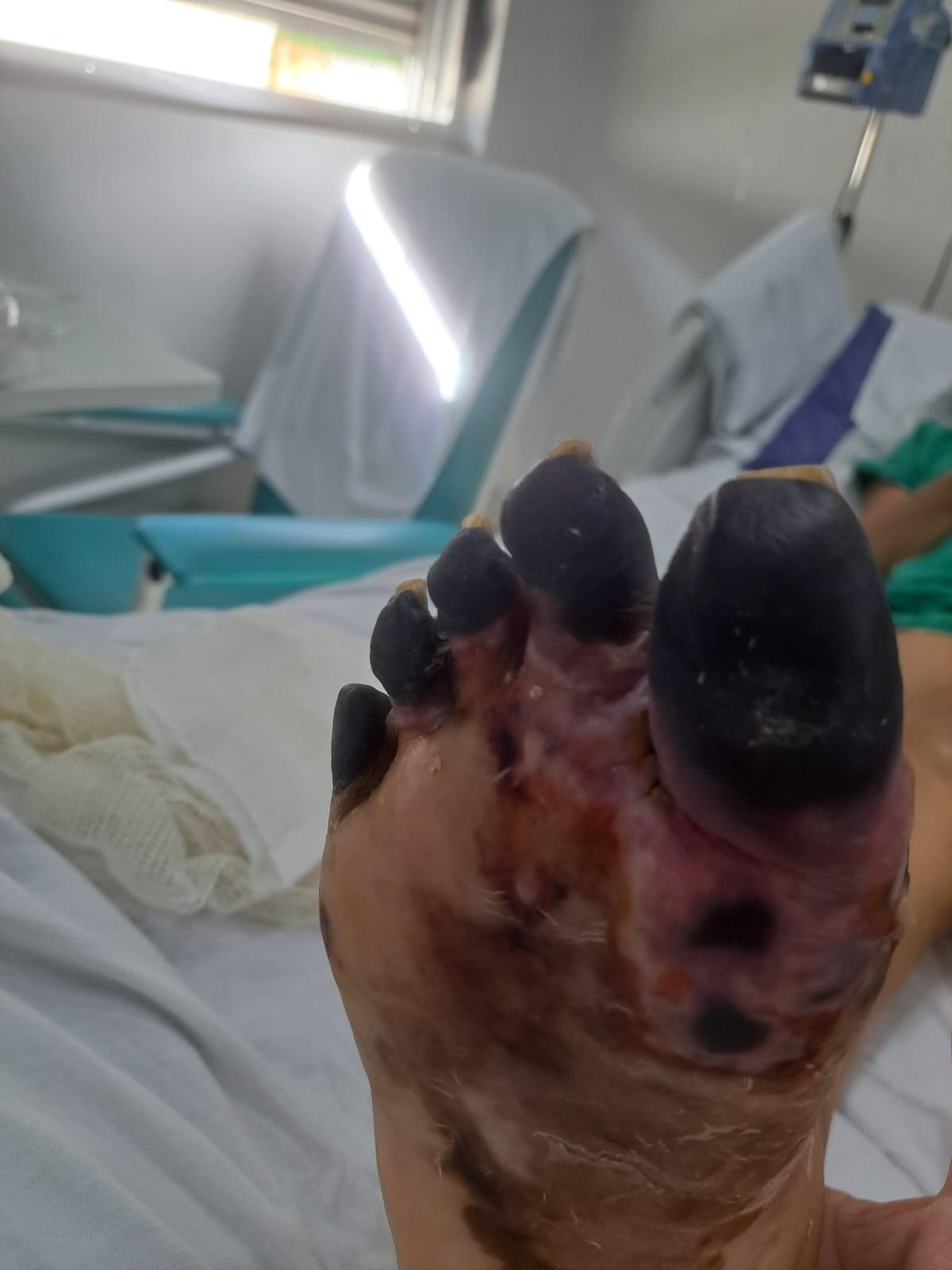 (Foto/Divulgação)