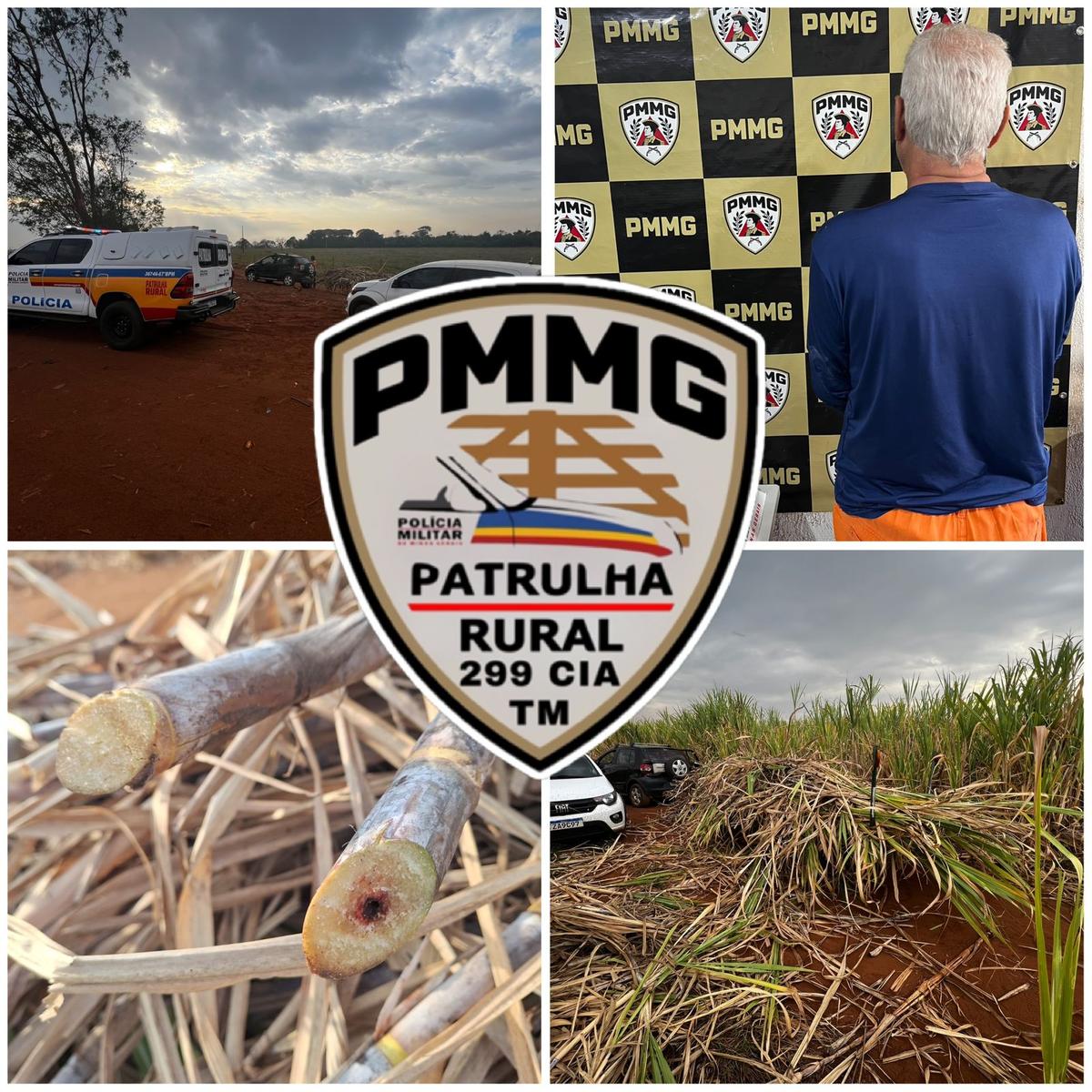 Patrulha Rural do 67º BPM flagrou idoso com carretinha carregada de cana furtada de fazenda da Usina Delta, em Uberaba. (Foto/Divulgação/PMMG)