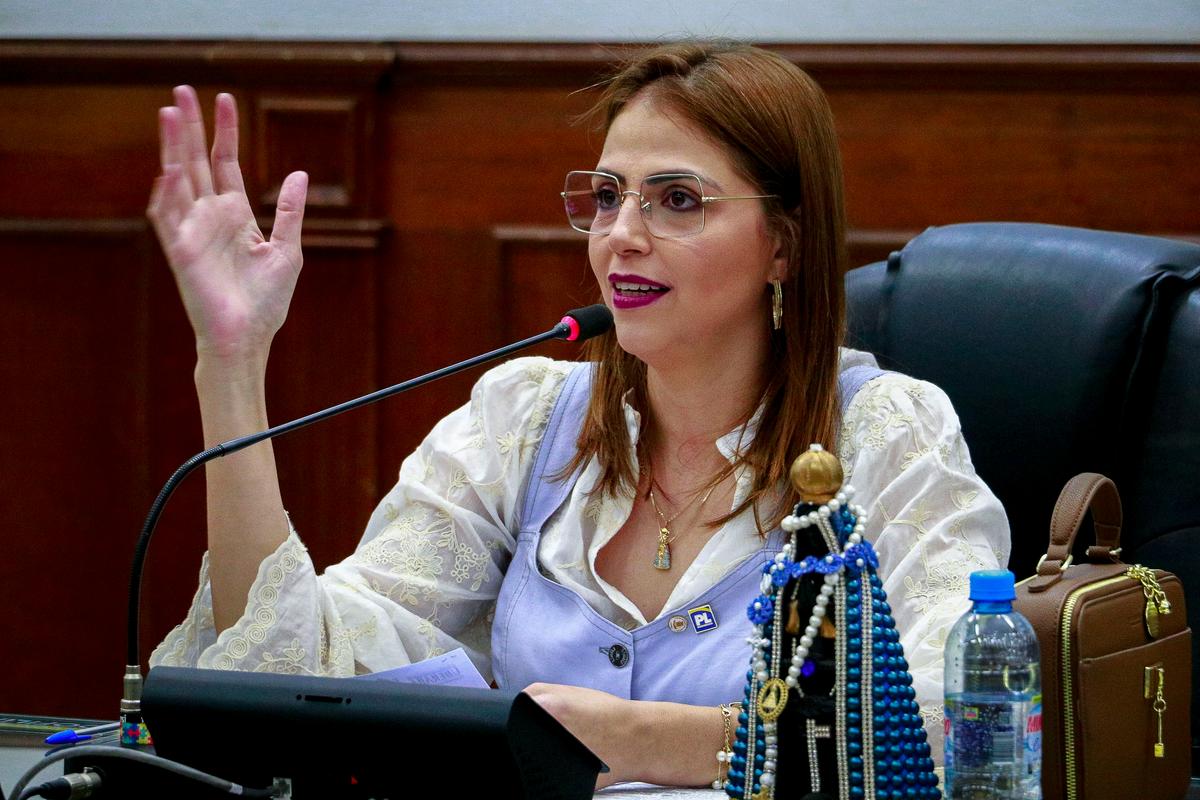 Um alinhamento nacional para garantir maior participação das mulheres nesses espaços (Foto/Divulgação)