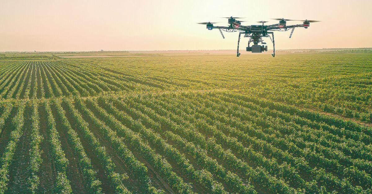 O uso de drones no agronegócio aumenta o risco de ataques cibernéticos. (Foto/Reprodução)