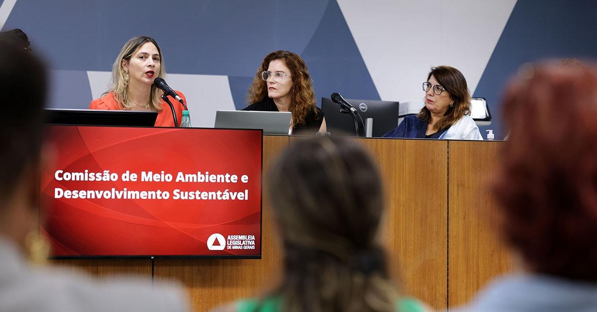 Audiência da Comissão de Meio Ambiente e Desenvolvimento Sustentável da ALMG debate proposta de incentivo à moda circular e inovação verde. (Foto/Divulgação ALMG/Daniel Protzner)
