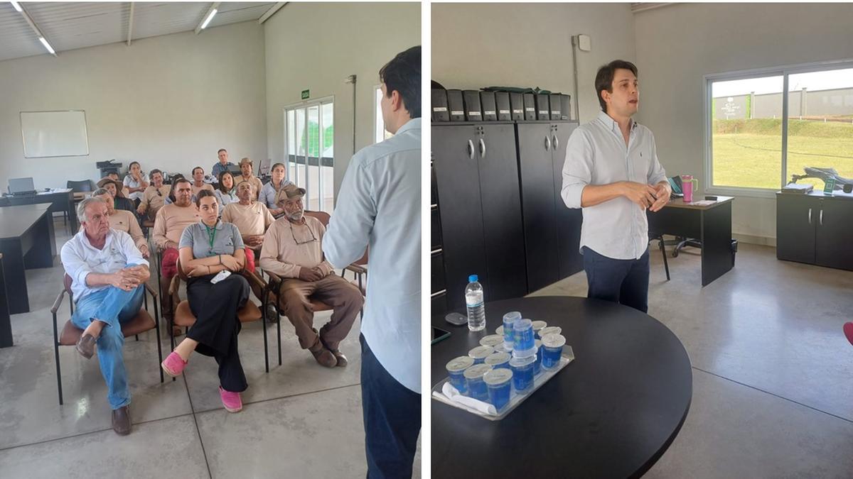 (Foto/ Reprodução)