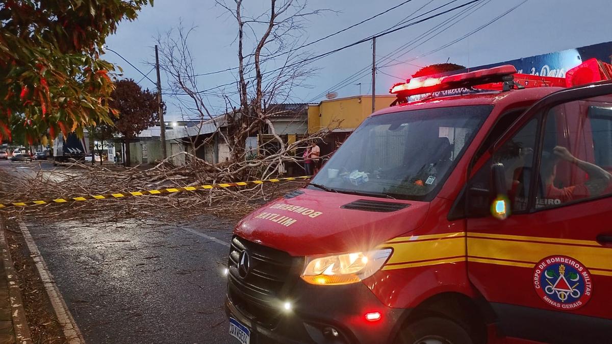  (Foto/Divulgação)