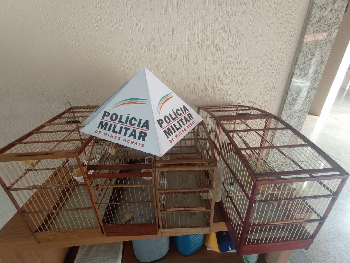  (Foto/Divulgação)