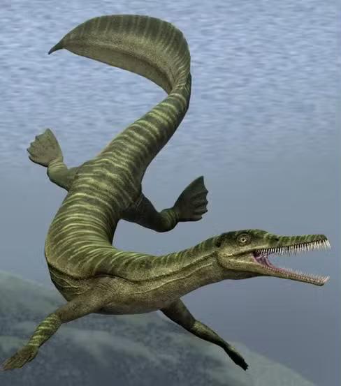 O Mesosaurus brasiliensis foi um réptil aquático que viveu há cerca de 280 milhões de anos, antes dos dinossauros (Foto/Reprodução)
