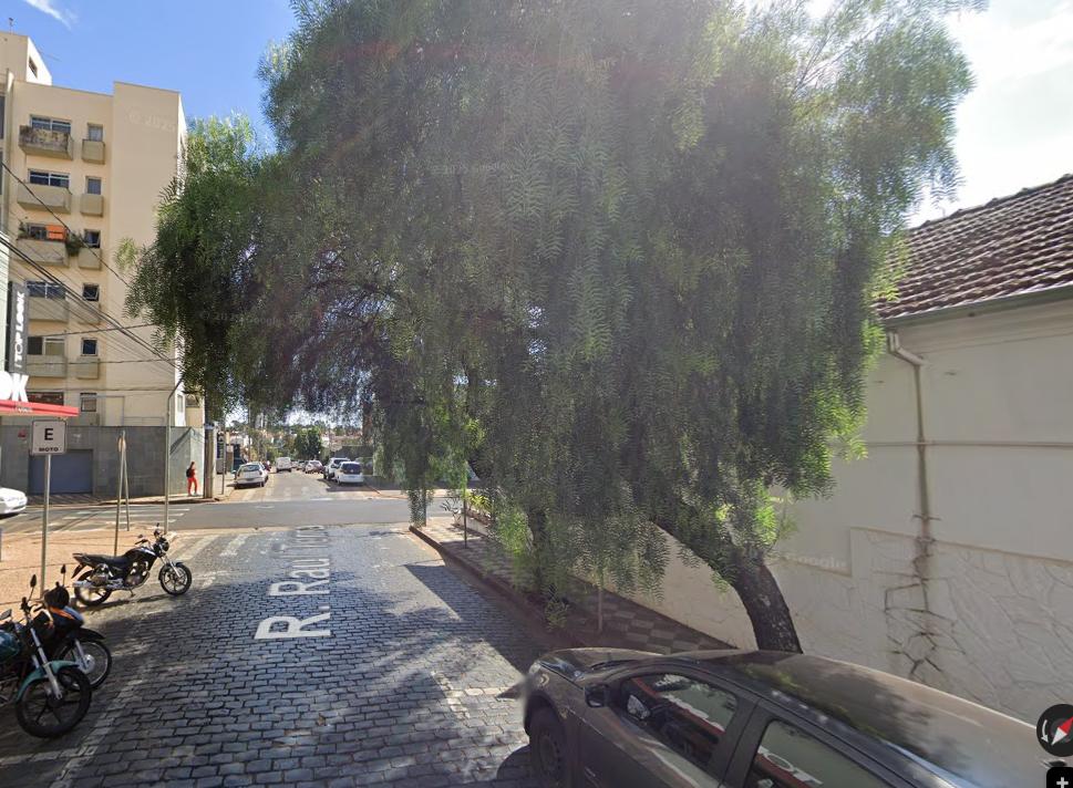 A árvore com folhagens pendendo para o lado da via está encobrindo o semáforo localizado no cruzamento das ruas Raul Terra e Major Eustáquio, dificultando a visibilidade dos motoristas (Foto/Reprodução)