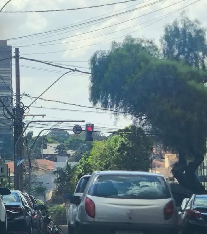 A árvore foi podada ainda na tarde desta quinta-feira (Foto/Macos Machado)
