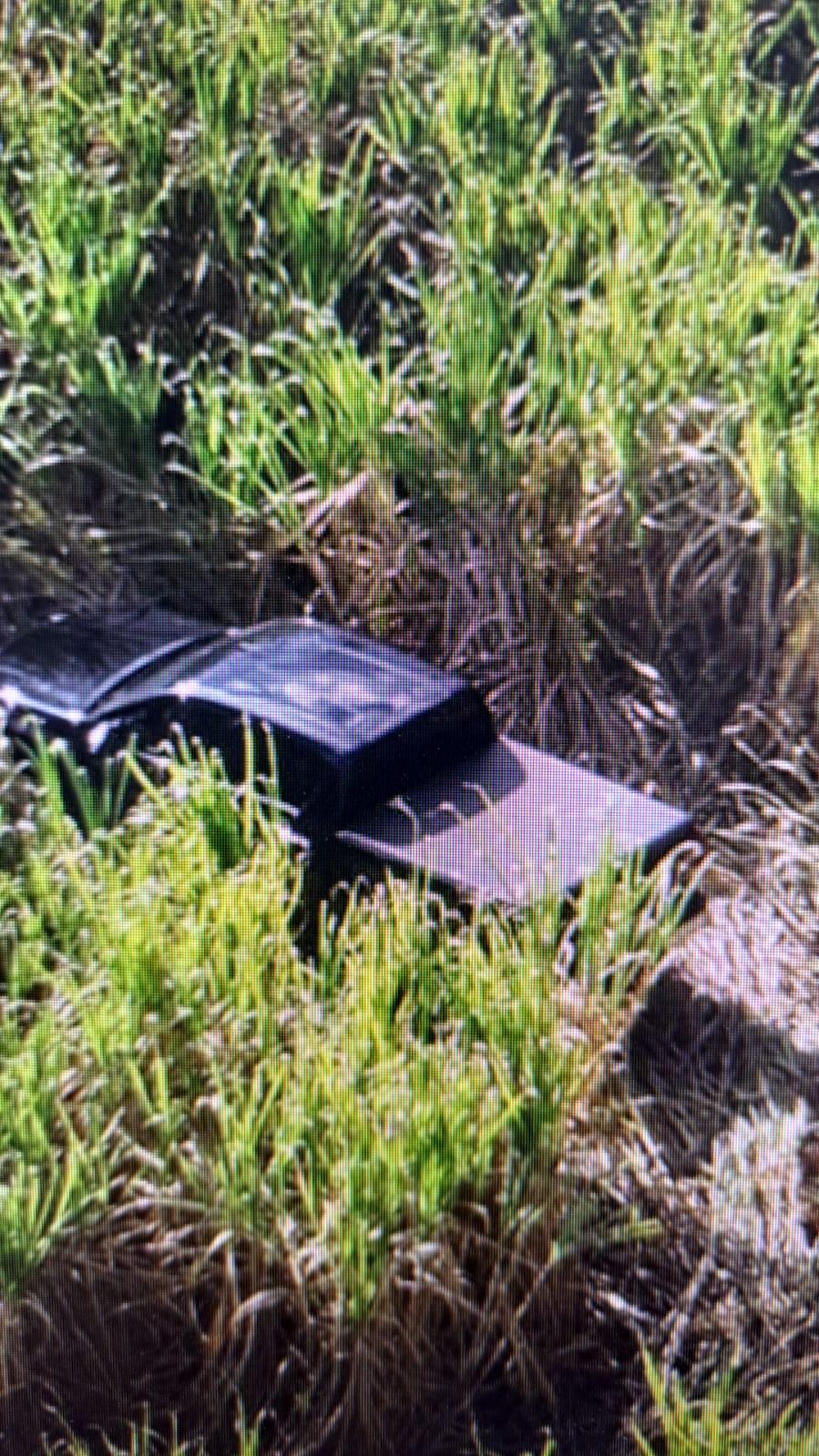 Imagens de drone no momento da localização do veículo. (Foto/Divulgação/PMMG)