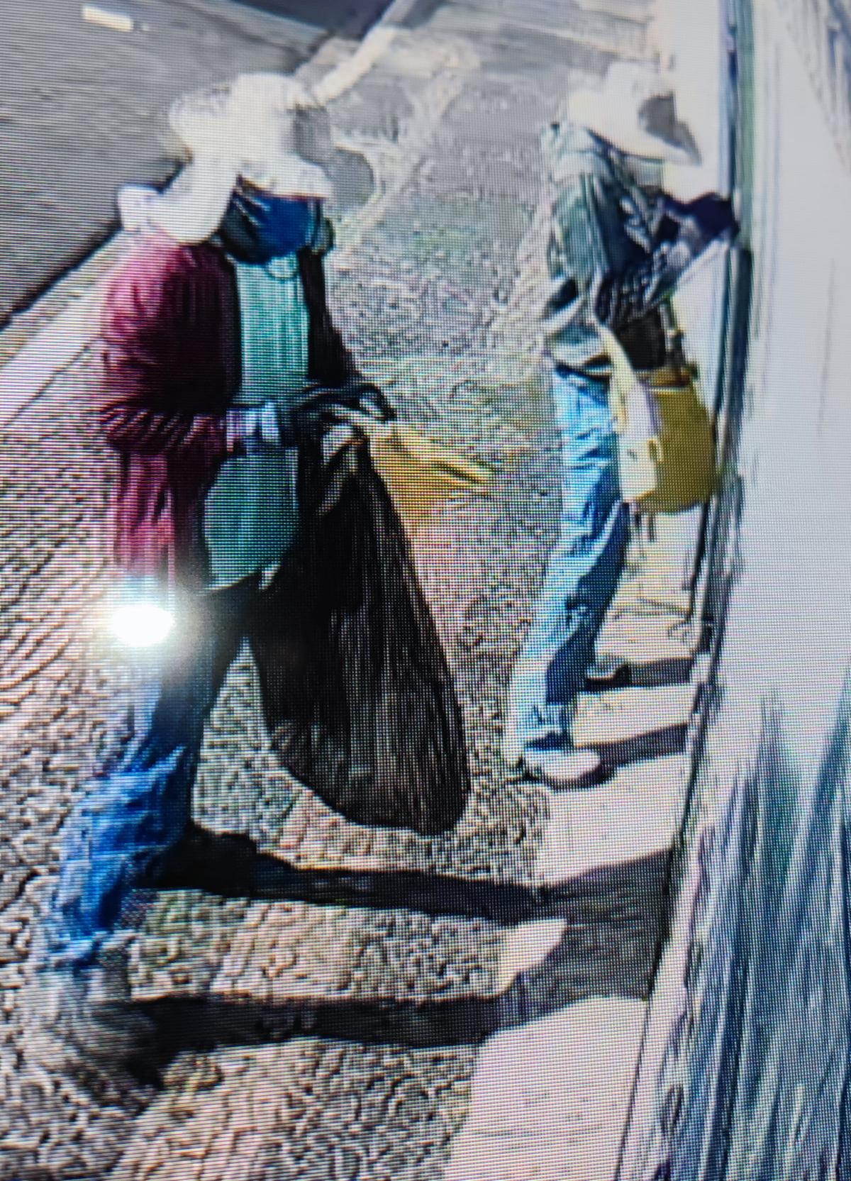 A dupla tocou o interfone e foi atendida por uma idosa, a quem informaram que eram agentes de endemias (Foto/Reprodução)