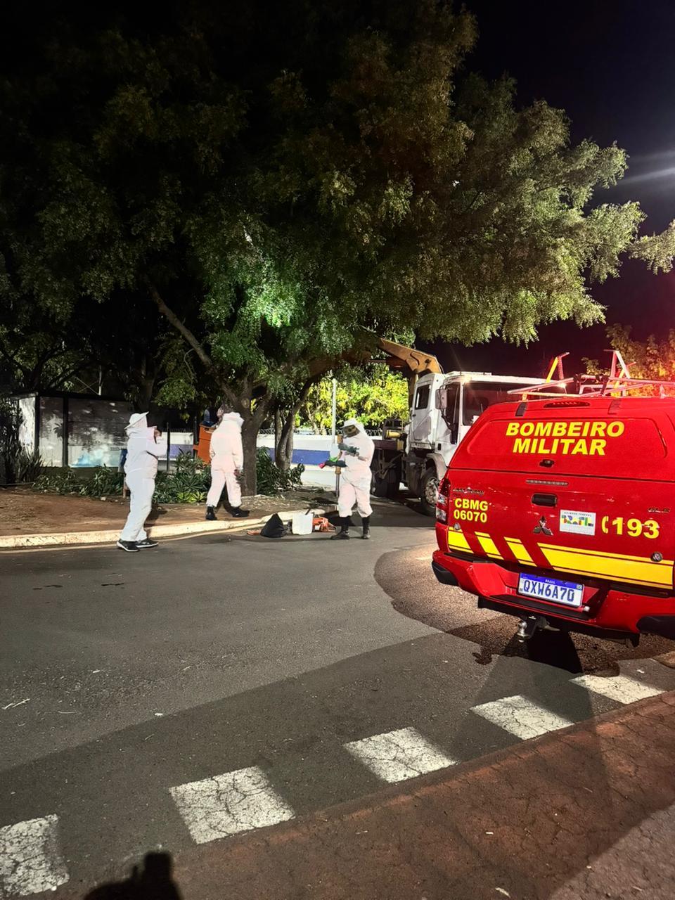 A intervenção foi realizada por volta das 18h30, em uma região considerada sensível por estar próxima ao Cemitério São João Batista e ao Hospital Regional (Foto/Divulgação Corpo de Bombeiros)