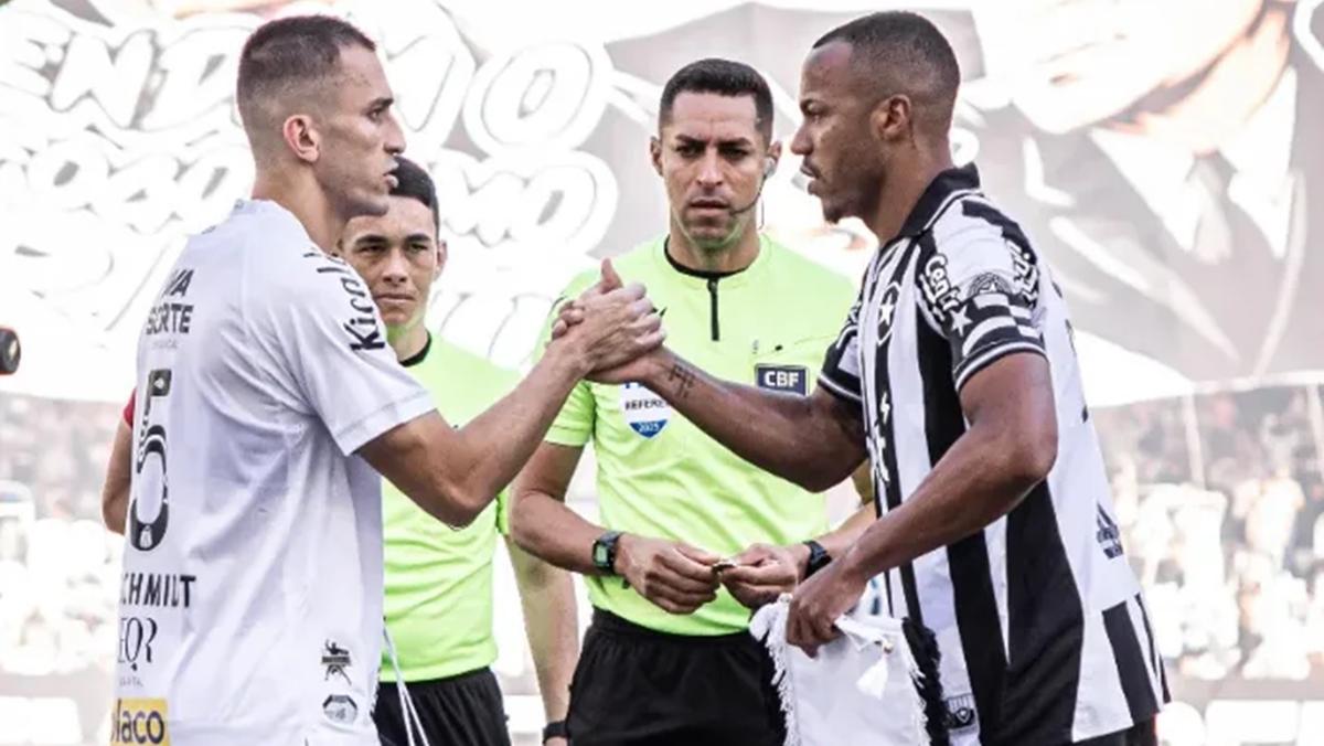 Santos lutou muito e conseguiu chegar ao empate salvando um ponto precioso contra o rebaixamento (Foto/Agência Futebol Interior)