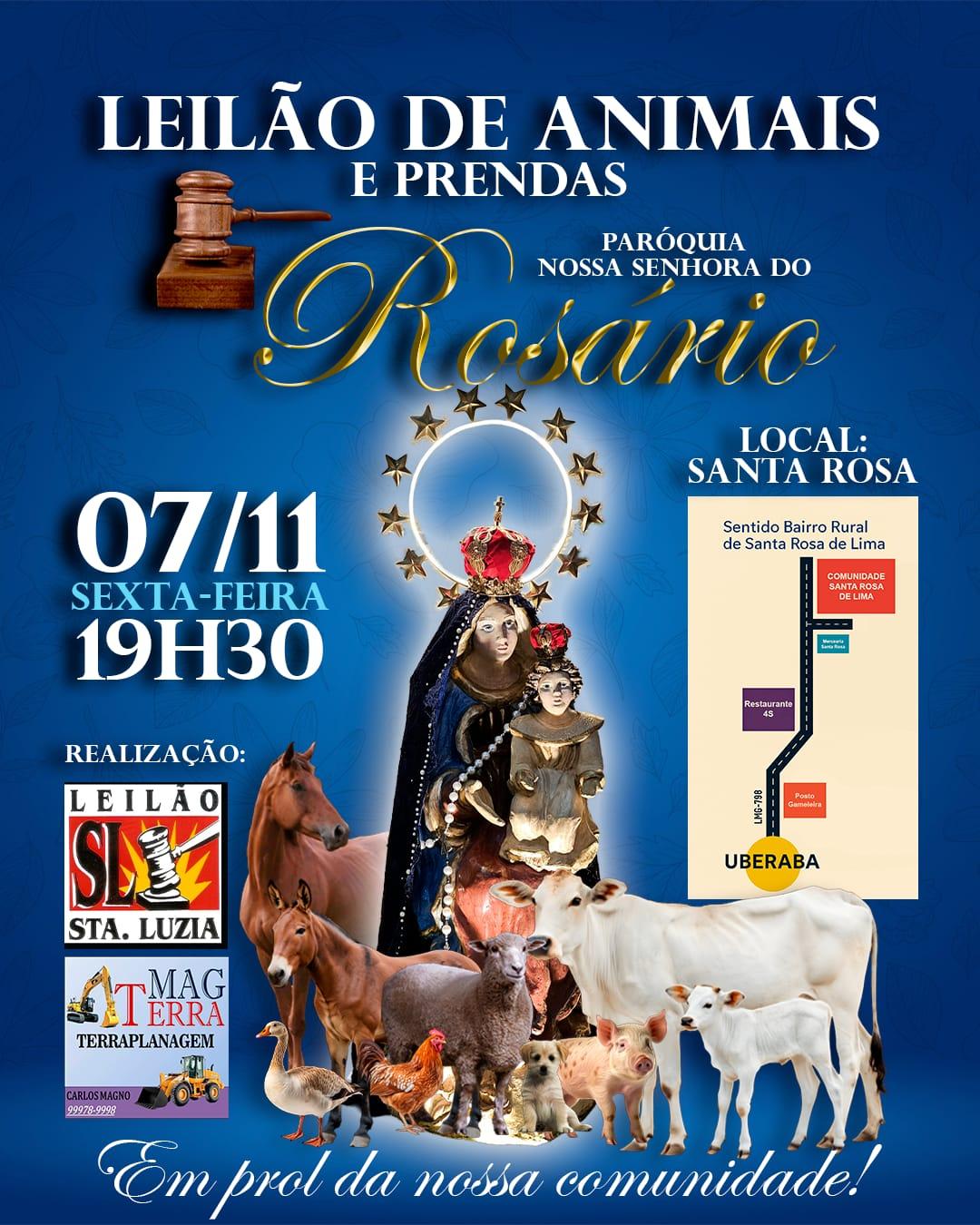 (Imagem: Divulgação)