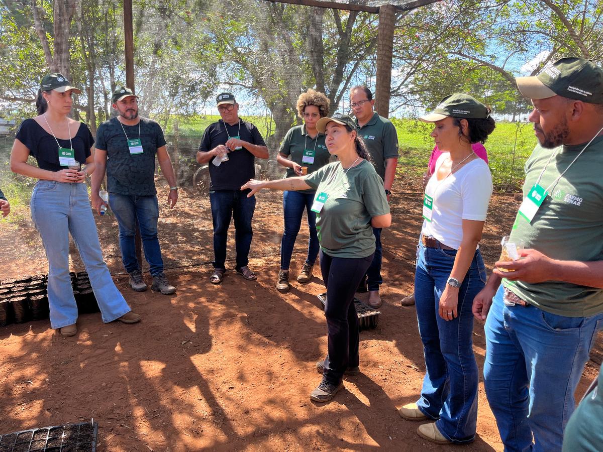 Uberaba recebeu 20 instrutores e técnicos de campo de cinco estados para o treinamento do plantio de espécies dos biomas Cerrado e Mata Atlântica (Foto/Divulgação)