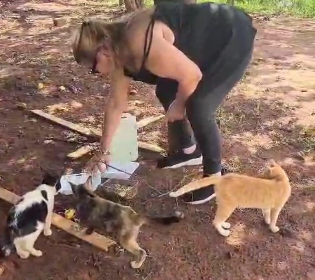 Denise alimenta colônia de gatos e apela a “corações generosos” para que façam adoção (Foto/Assessoria)