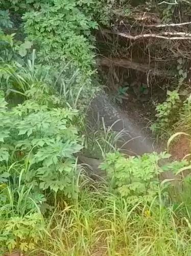 A Codau confirmou que o vazamento ocorre em uma adutora de água bruta, responsável por transportar o recurso captado no rio até a Estação de Tratamento de Água (ETA) (Foto/Reprodução)