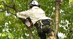 Saiba como participar e o prazo de inscrição (Foto/Divulgação)