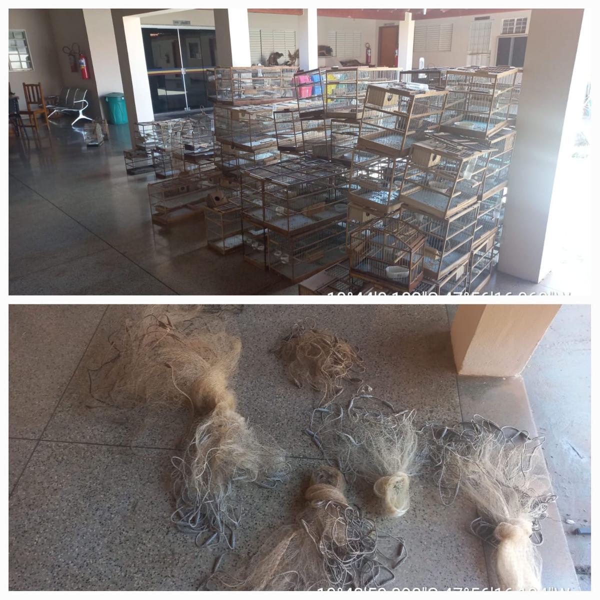 O responsável pelo imóvel foi autuado, preso e conduzido à delegacia de plantão, onde foi apresentado em flagrante (Foto/Divulgação PMMG)