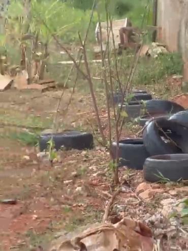Nas imagens enviadas à reportagem, é possível observar pneus expostos ao tempo e um barracão em aparente estado de abandono (Foto/Reprodução)