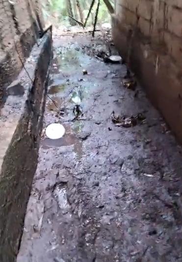 De acordo com os denunciantes, o problema ambiental teria sido observado repetidas vezes, especialmente após dias de chuva, quando a água que escorre do pátio da oficina seguiria diretamente para uma das nascentes existentes no entorno (Foto/Reprodução)