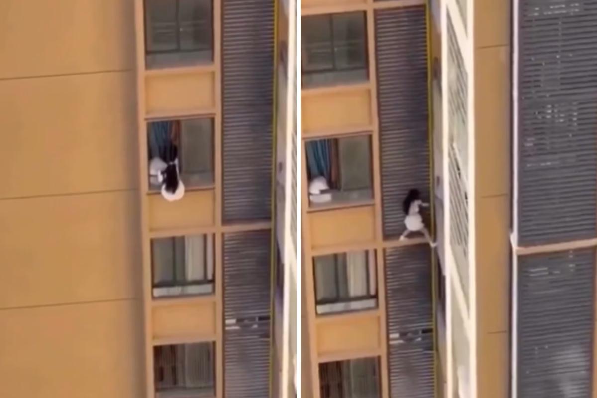 Morador do andar inferior ajudou a mulher a entrar em seu apartamento pela janela (Foto/Reprodução/X)