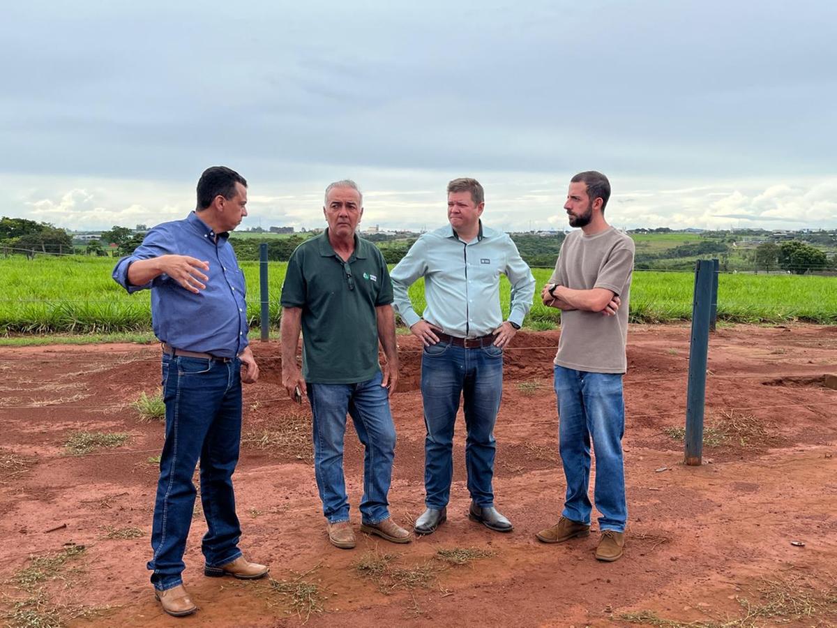 Área de dois hectares da Fazenda Escola da Fazu será utilizada para o plantio do cacau, para acompanhamento do desenvolvimento do fruto e adaptação ao solo e clima do Cerrado (Foto/Divulgação)