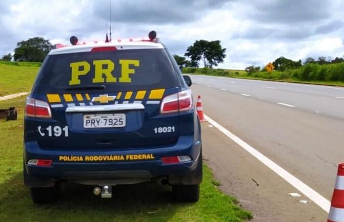 Equipe da Polícia Rodoviária Federal foi mobilizada para atender à ocorrência, que envolveu dois veículos e um animal na pista (Foto/Reprodução)