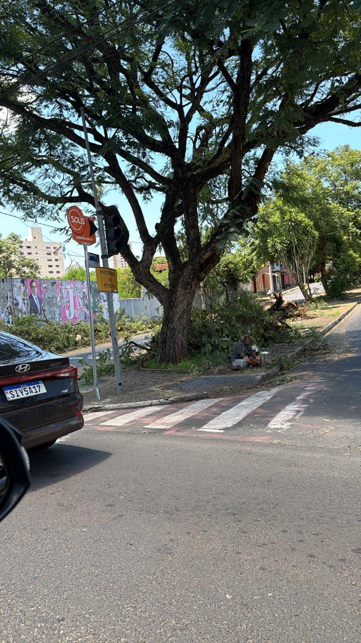 Na manhã de domingo (28), ainda era possível ver em várias ruas e avenidas da cidade, árvores, outdoors caídos, semáforos intermitentes, pistas interditadas, fiação da rede elétrica solta (Foto/Divulgação)
