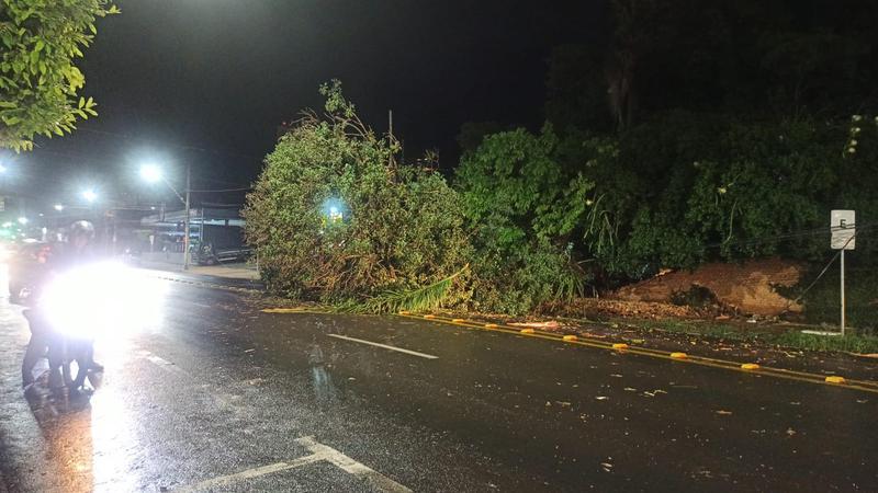 Apesar de o volume de chuva ter sido considerado moderado, com registro de 17 milímetros, os estragos foram provocados principalmente pelas fortes rajadas de vento (Foto/Reprodução)