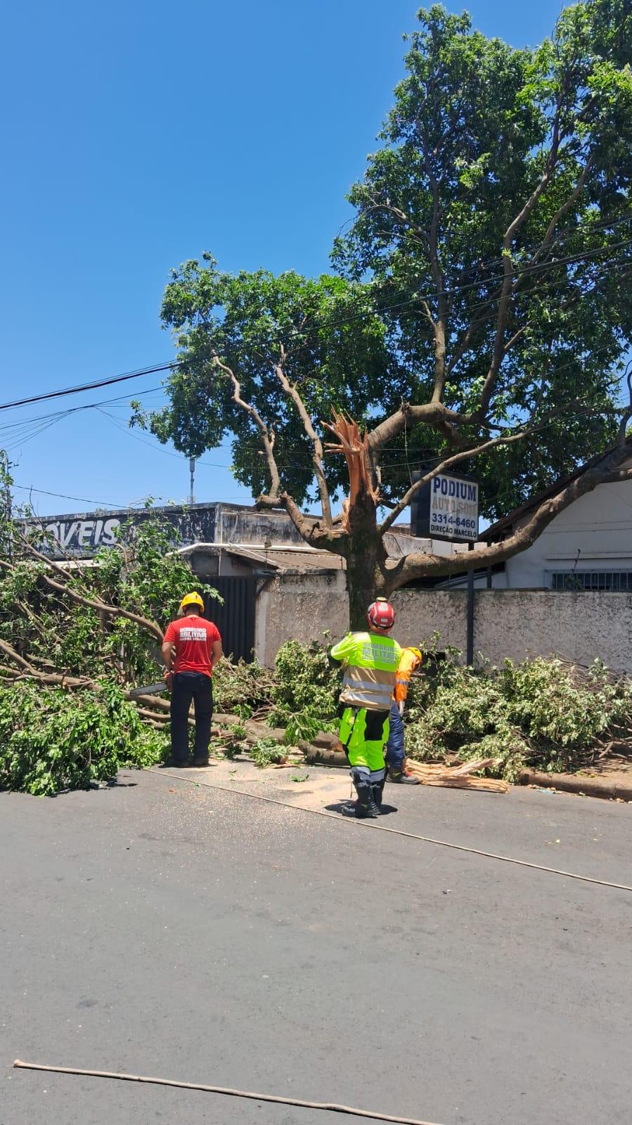 Ao todo, foram contabilizadas 11 ocorrências, concentradas principalmente nos bairros Maringá, Mercês, Tutunas, Leblon e Abadia (Foto/Divulgação)