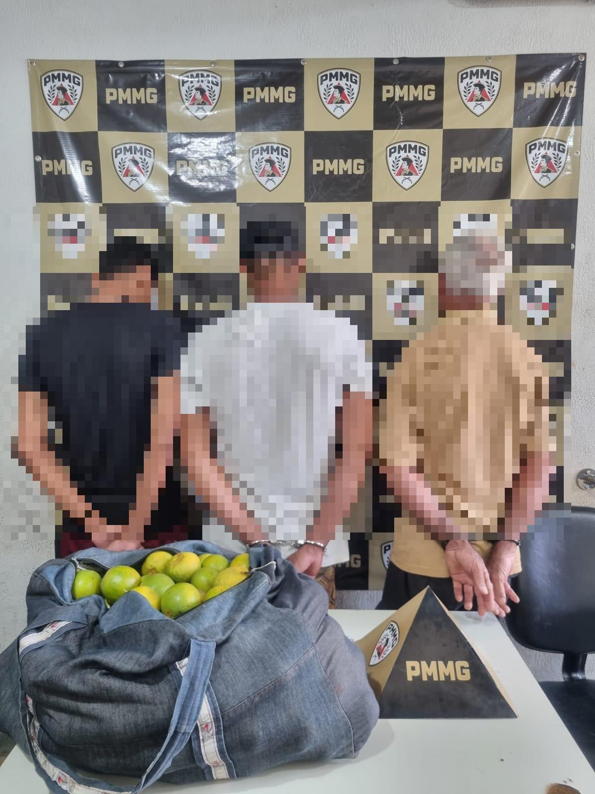  (Foto/Divulgação PMMG)