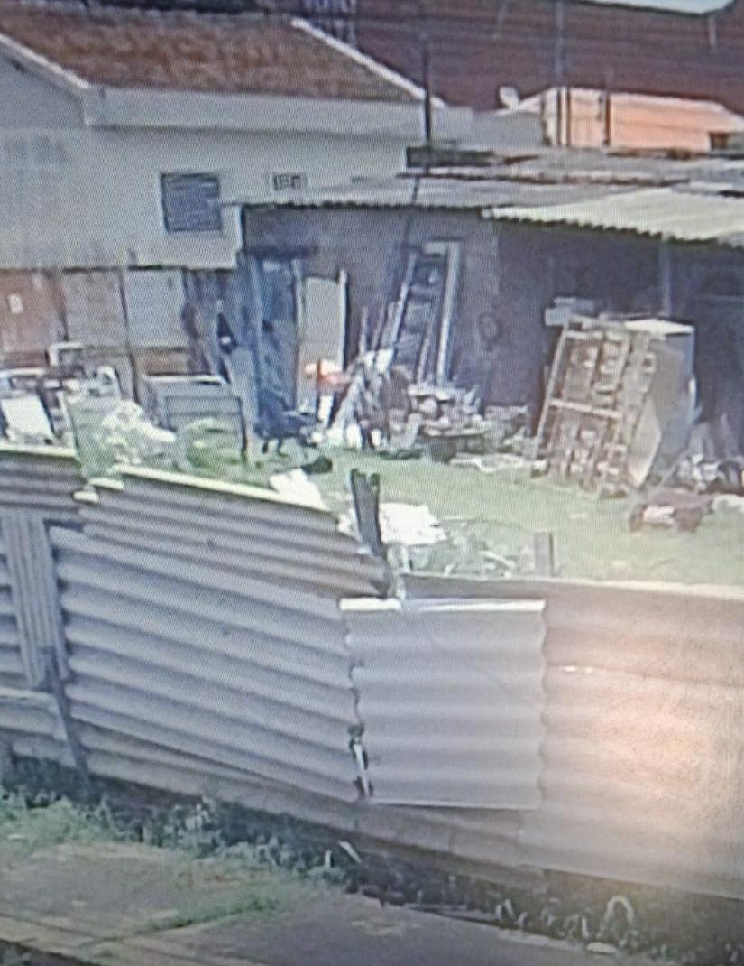 Segundo o relato, além do impacto visual, observado em imagens de câmera de segurança de um vizinho, a situação traz risco à saúde pública, uma vez que pode ser foco do mosquito Aedes aegypt, além de abrigar outros animais peçonhentos (Foto/Reprodução)