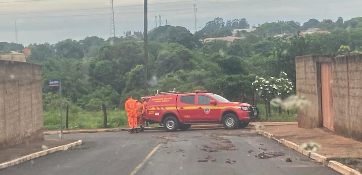Corpo de homem de 53 anos foi localizado nesta segunda-feira (5), em Campo Florido, após dias de buscas realizadas pelo Corpo de Bombeiros. (Foto/Reprodução)