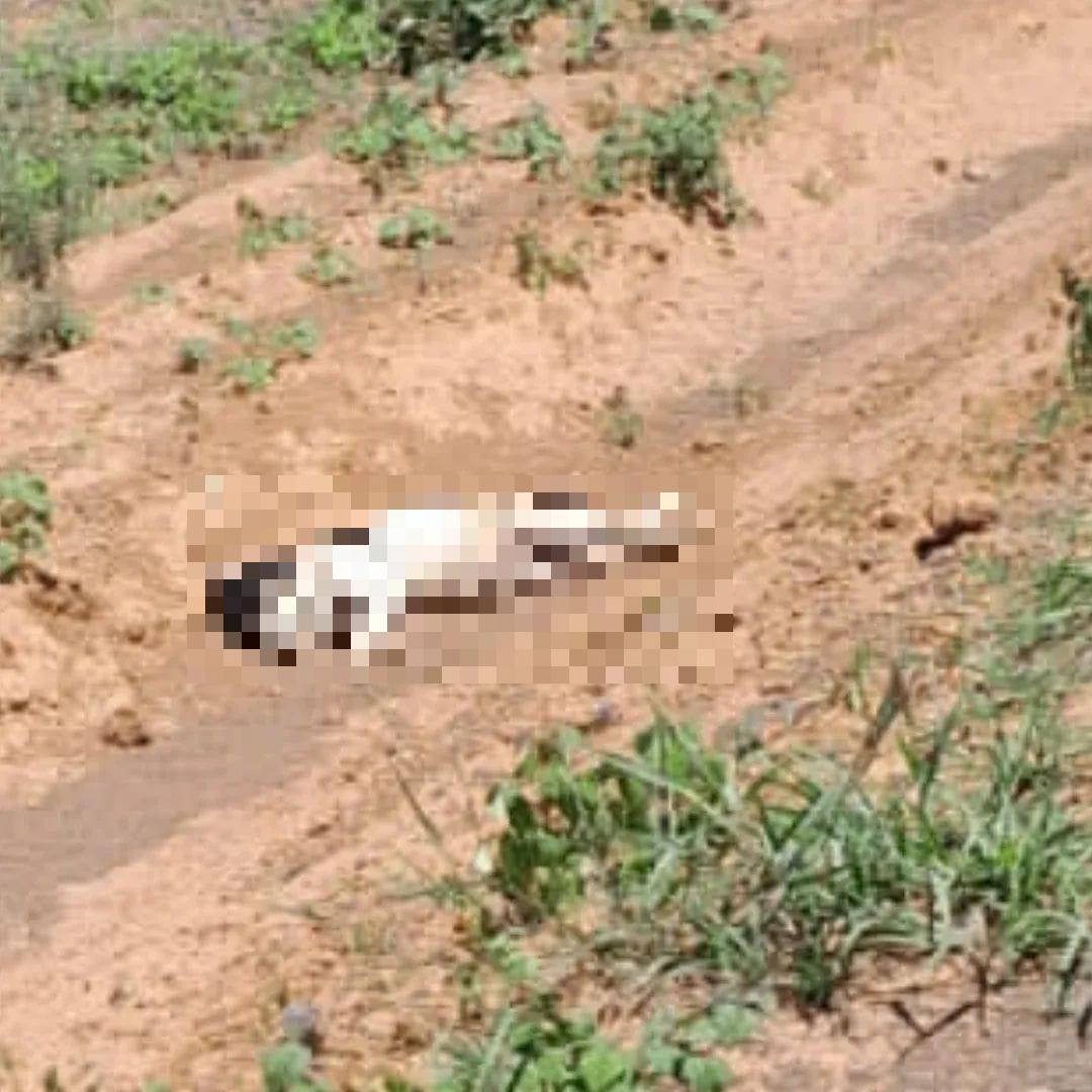 A vereadora Denise comentou o caso ocorrido em São Basílio e afirmou que a situação foi tratada como suposto envenenamento (Foto/Reprodução)