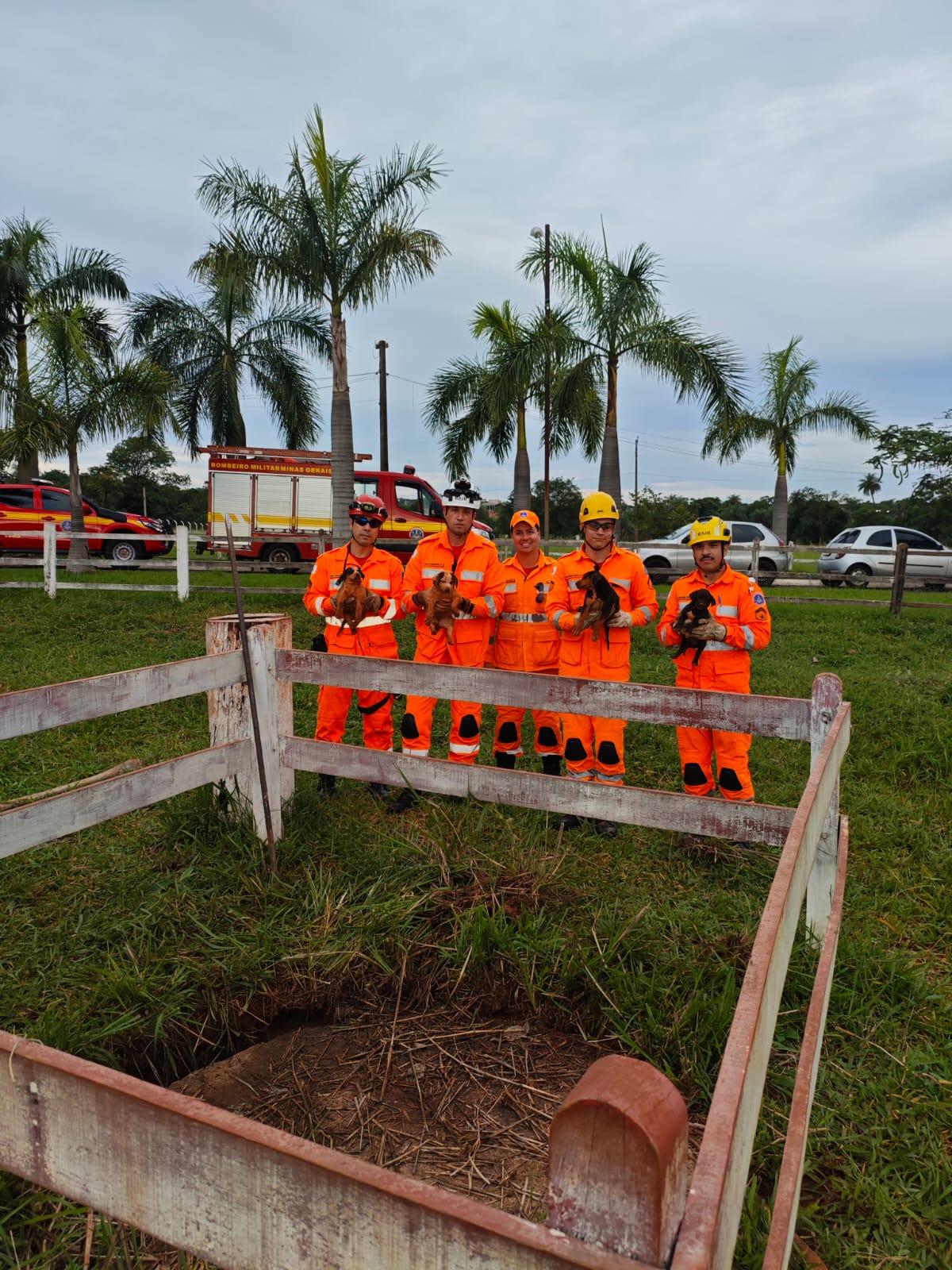 Bombeiros resgatam quatro filhotes de cachorro que caíram em fossa séptica em Uberaba. Todos passam bem e foram devolvidos aos proprietários. (Foto/Divulgação/CBMMG)