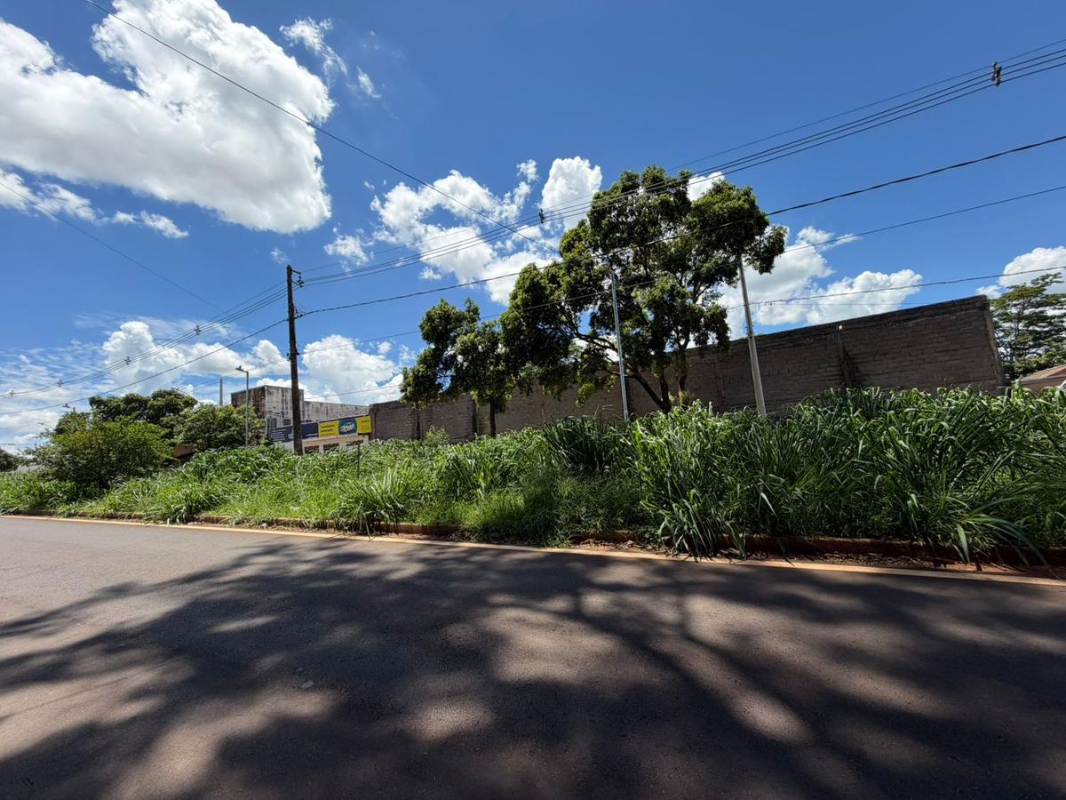 “Foi feita a revitalização da avenida Cristo rei, mas o mato já está a mais de dois metros de altura. Nem para fazer caminhada tem jeito”, desabafa denunciante (Foto/Reprodução)