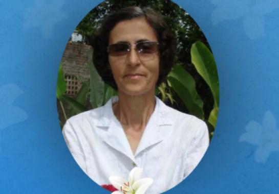 De acordo com a concessionária Ecovias Minas Goiás, o acidente aconteceu por volta das 9h35, no km 6 da rodovia, no sentido Catalão (GO)–Araguari (MG), e envolveu uma motocicleta (Foto/Reprodução)