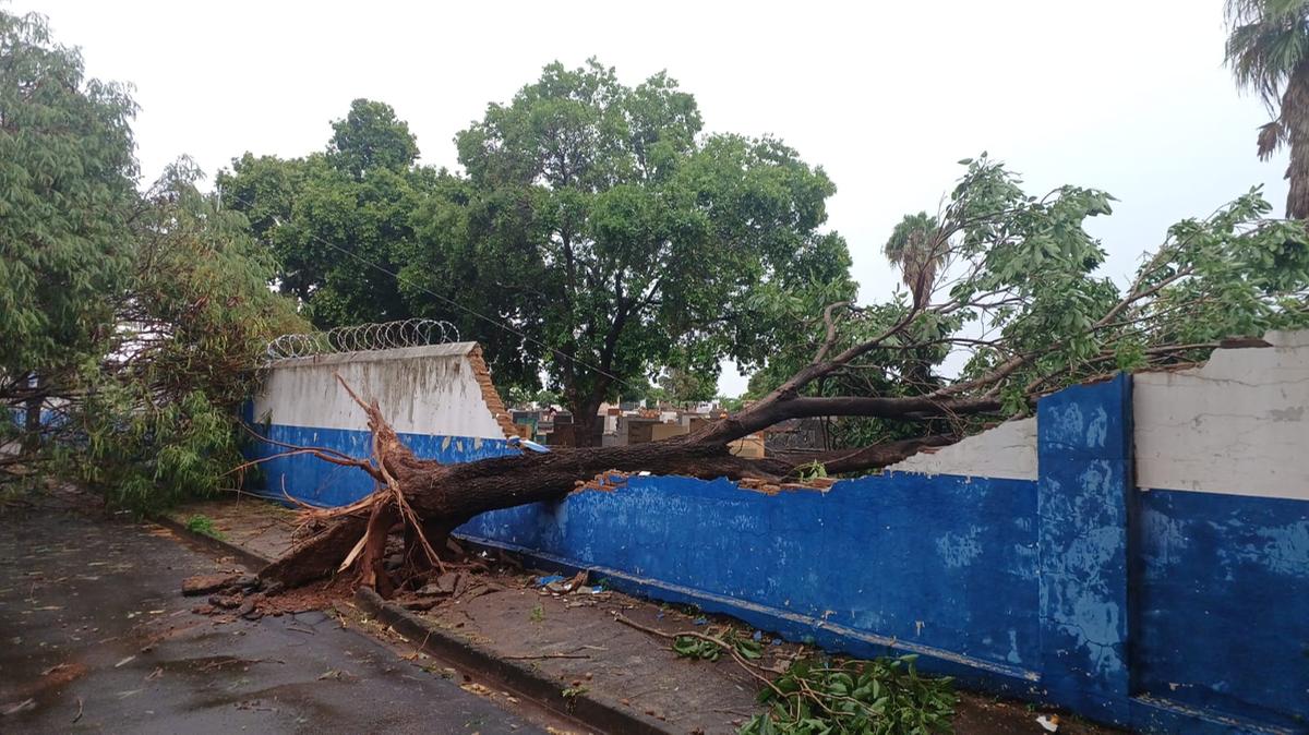 Árvores caíram na rua André Dominicci e derrubou muro do Cemitério São João Batista durante o temporal. (Foto/Reprodução)