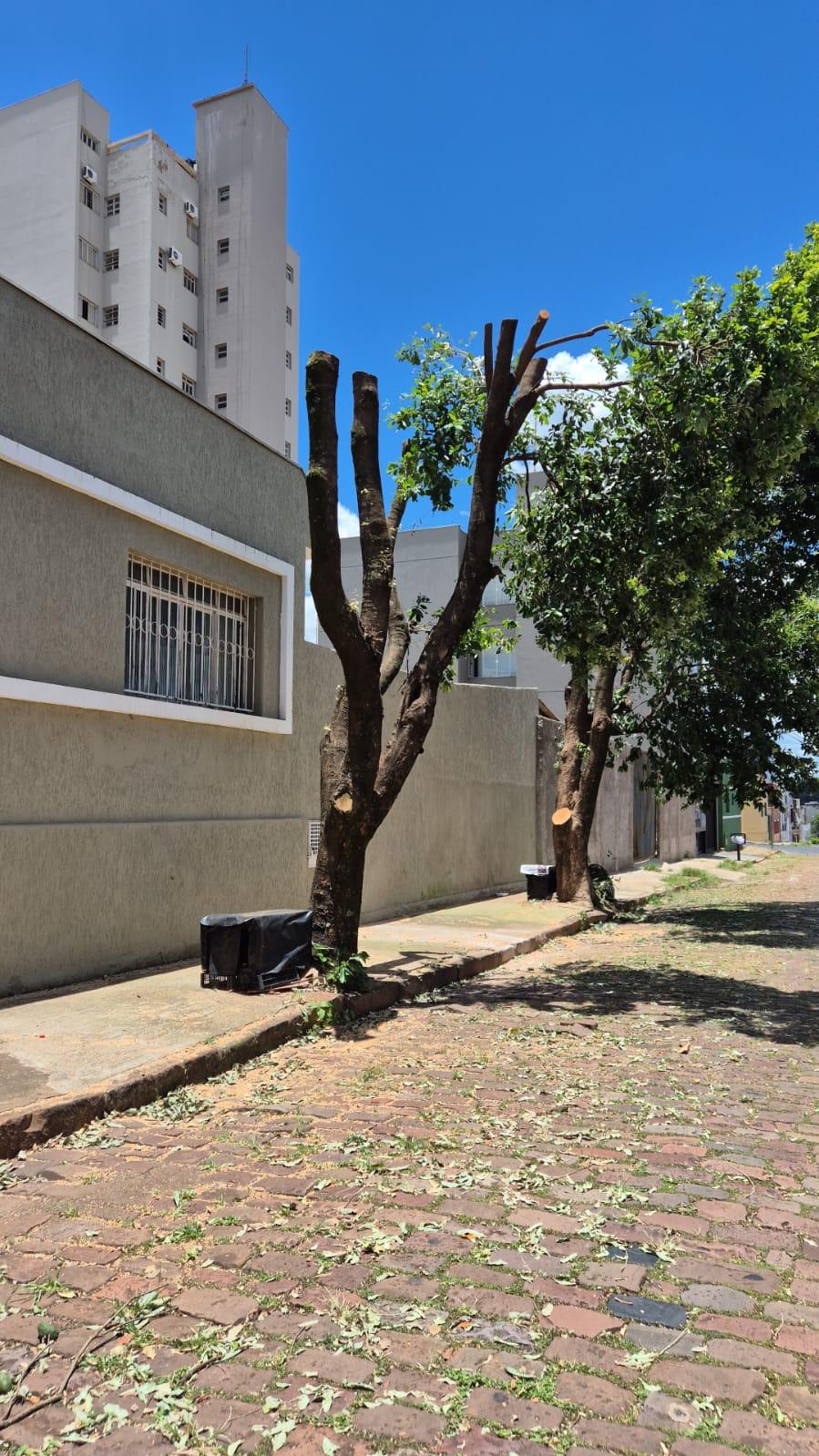 Semam informou que uma equipe técnica será enviada ao local nesta quinta-feira (15) para realização de vistoria (Foto/Reprodução)