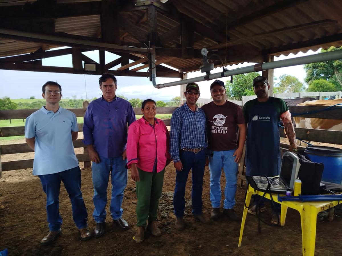 Programa Uberaba Mais Genética inicia protocolo de inseminação artificial em rebanho de pequeno produtor no Assentamento Dandara. (Foto/Divulgação/PMU)