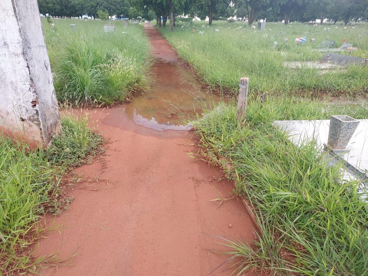 Vegetação estaria dificultando a localização de túmulos (Foto/Divulgação)