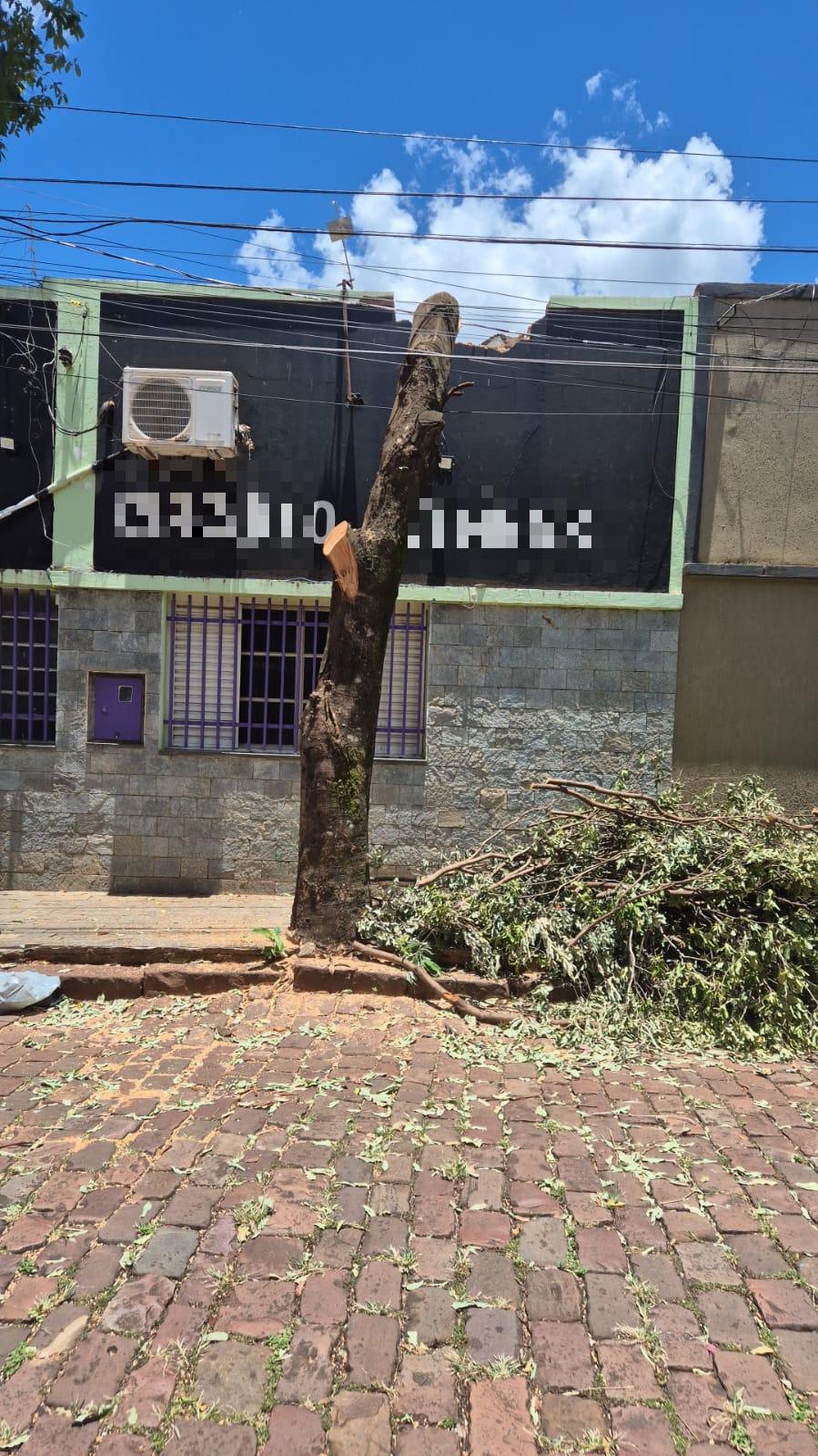 Intervenções na rua Episcopal foram emergenciais, realizadas por Bombeiros e concessionária de energia, e não configuram infração ambiental, segundo a Semam. (Foto/Reprodução)