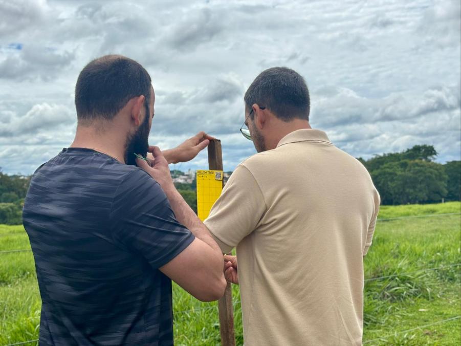 Na foto, os professores Diego e Luan verificam armadilha fixada em Uberaba (Foto/Divulgação)